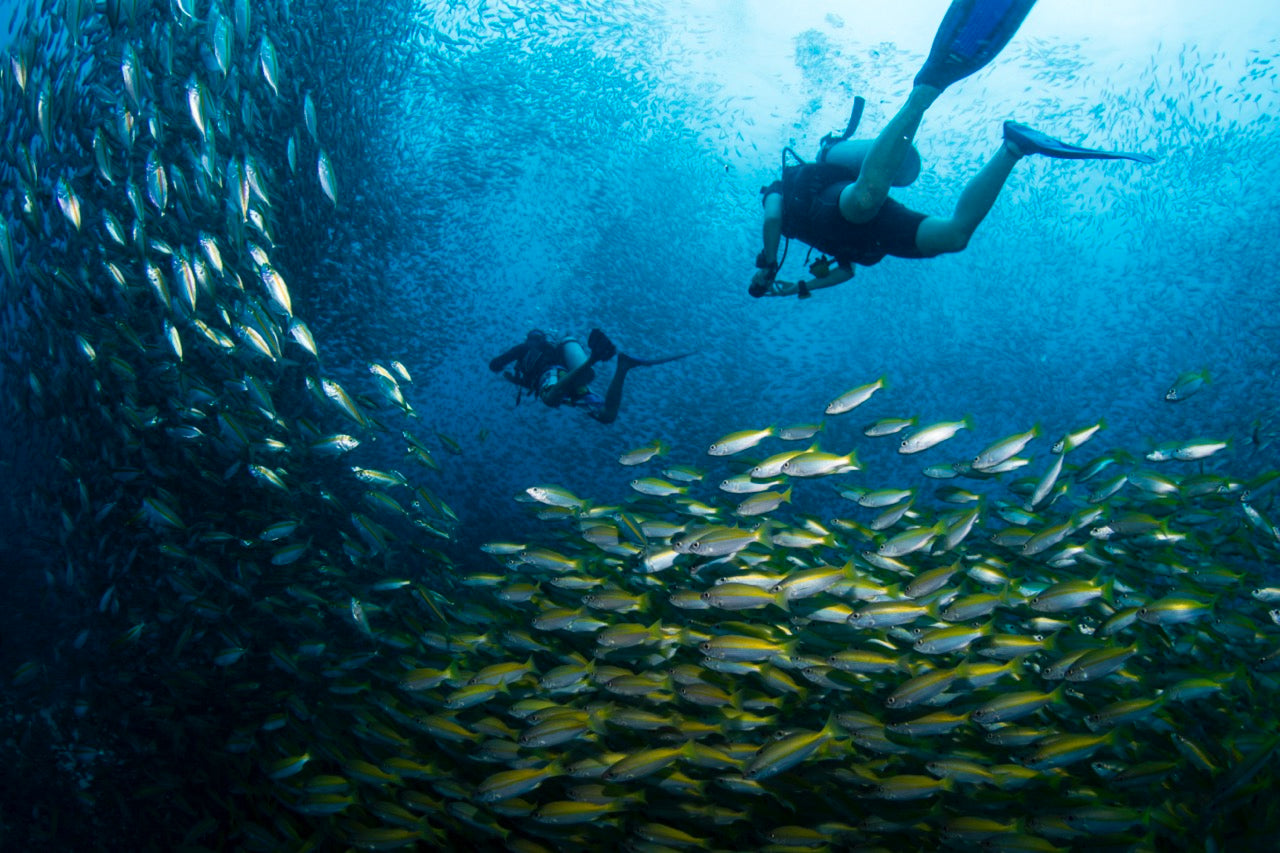 Thai Gateway + DIVE 13 Days
