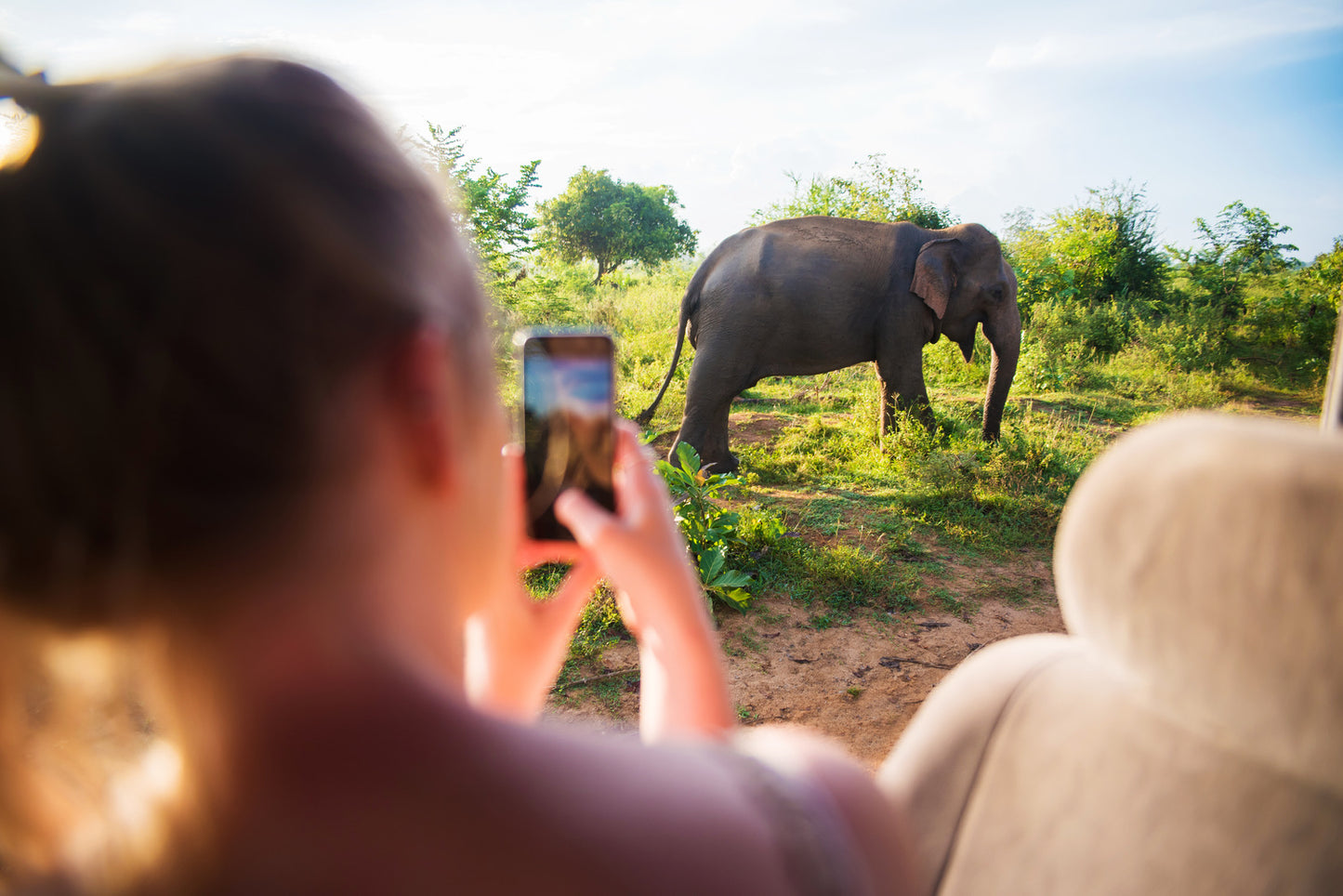 Sri Lanka Gateway 12 Days