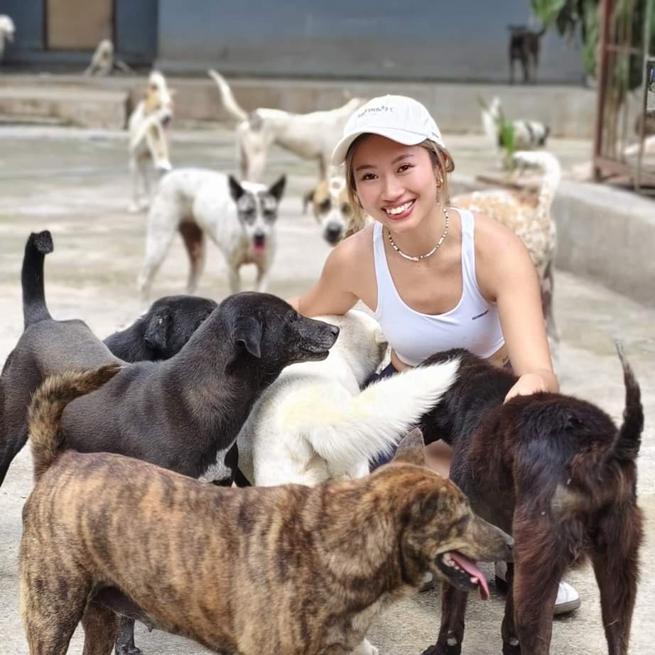 Bali Dog Sanctuary Volunteering