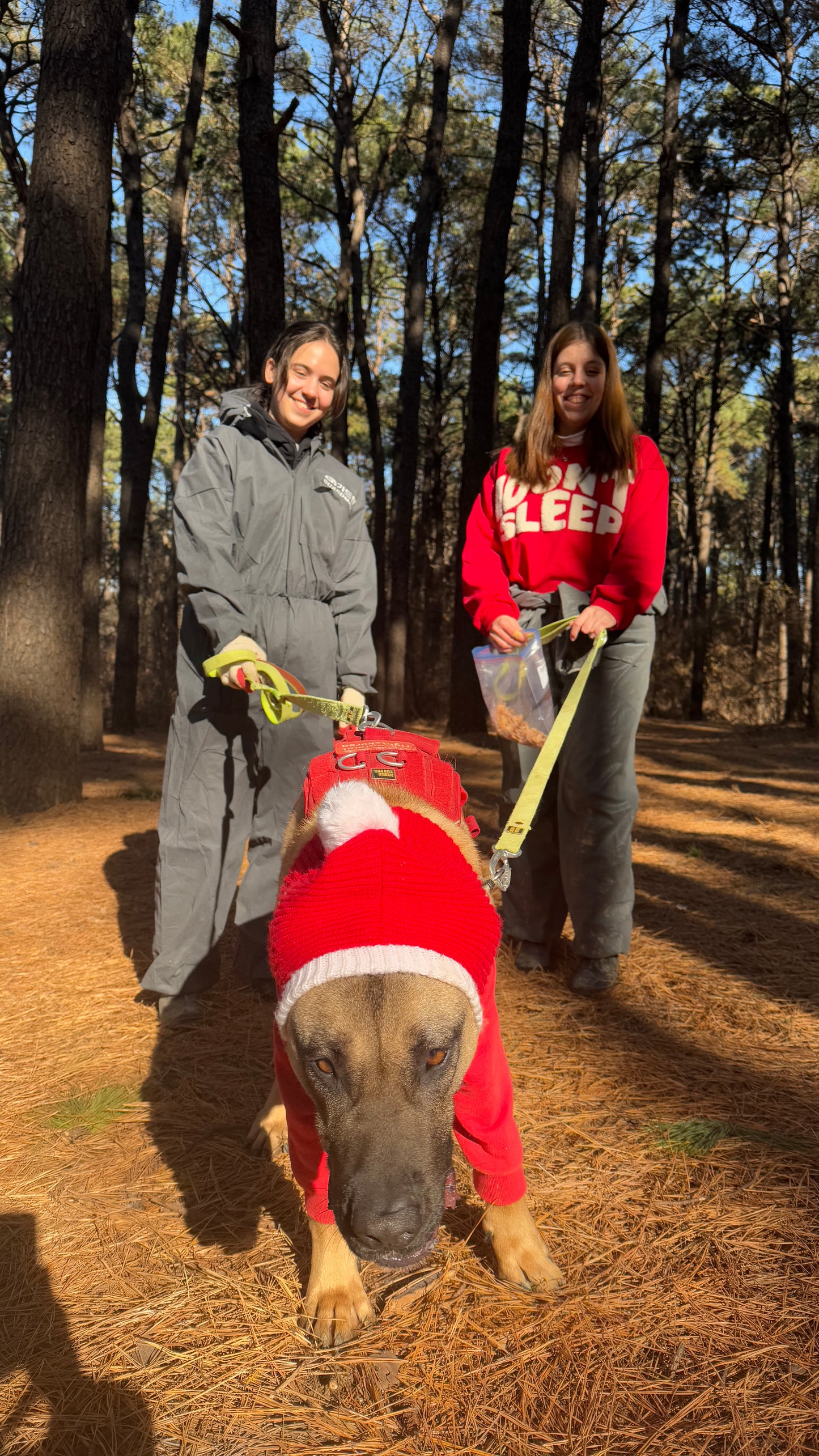 South Korea Animal Rescue Care